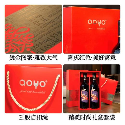 傲鱼智利原装原瓶进口红酒干红葡萄酒水果酒送礼盒装双支套装 商品图1
