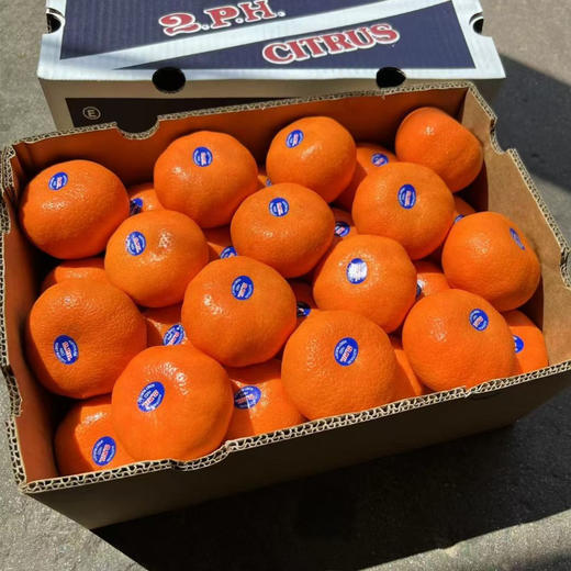 2ph蜜柑 商品图3