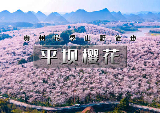 3.19-3.22｜平坝樱花｜2026贵州花季山野轻徒步の平坝樱花-羊皮洞瀑布-三江古道｜4天3晚 商品图0