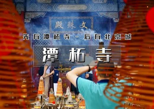 1日｜又见•潭柘寺｜潭柘玉兰花开の千年古刹-皇家寺院-戒台寺登山步道｜休闲1日 商品图0