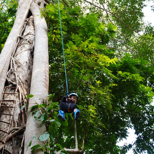 云南 | 版纳帕瓦老寨雨林徒步，距离市区1小时内车程轻松雨林徒步，超丰富一日探索：丛林水上秋千/树攀树降/动植物科普/哈尼族特色美食/割胶体验/化野人妆/看云海/探洞瀑布！五一端午路线提前预定！ 商品图10