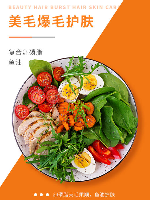 【买1送1 送正装120g1支】 普安特狗狗营养膏增肥免疫力调理肠胃美毛成幼犬专用零食营养膏 商品图4