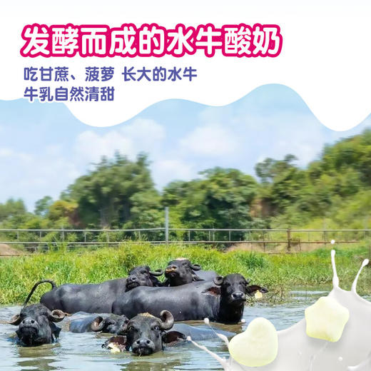 爷爷的农场高钙多莓果水牛酸奶溶豆18g 商品图4