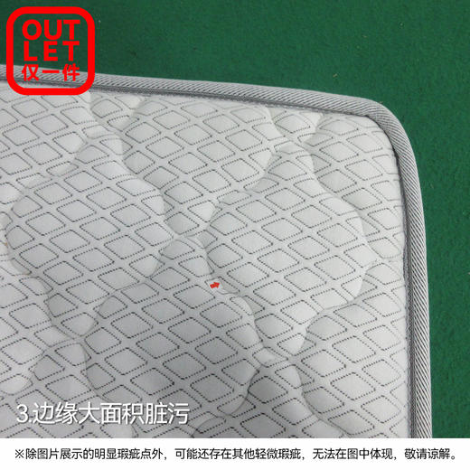 【OUTELT】单人床垫 佩奇 高13cm 商品图2