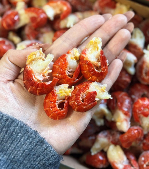 龙虾尾一级规格！
颜色解冻后鲜红鲜红的那种；
100粒左右/斤，而且每一粒都带长长的头肉，是否带头肉这是判断龙虾尾新鲜度最有效和最直接的方法！2斤净重/袋 商品图0