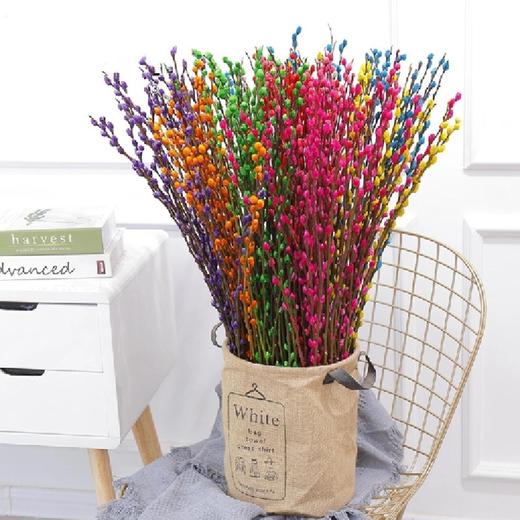 【贺岁银柳】AB级混色银柳20支+新年小挂件3张/份  不少于3个颜色  长约60-70cm 商品图1