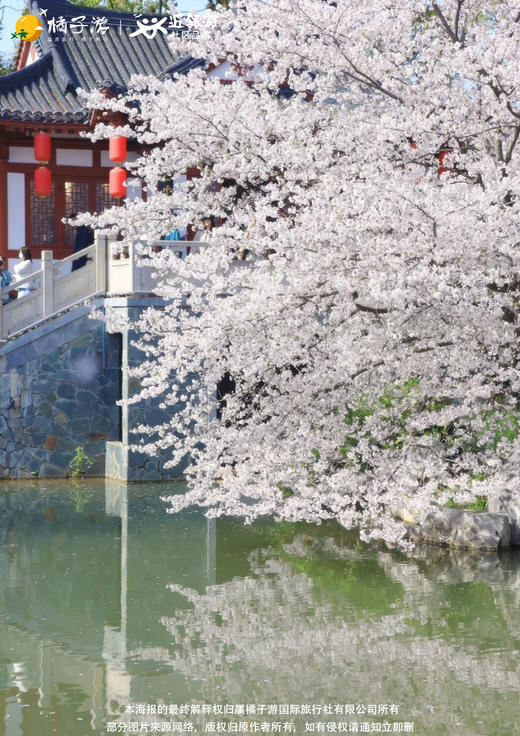 【樱为大别山】纯玩双高5天 商品图1