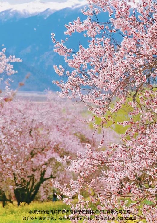 【七彩藏风-双飞七日游】 商品图2