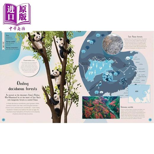 【中商原版】DK漫步栖息地 森林 Habitats series Forest 英文原版 儿童自然科学科普绘本 森林主题读物 进口童书7-12岁 精装 商品图4