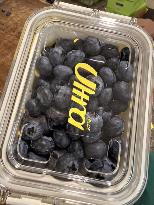 2026年春节·蓝莓天花板：Ultra Blue 原装精致礼盒：内含两盒250g装18mm+ 花香四溢 硬脆鲜爽 商品图3