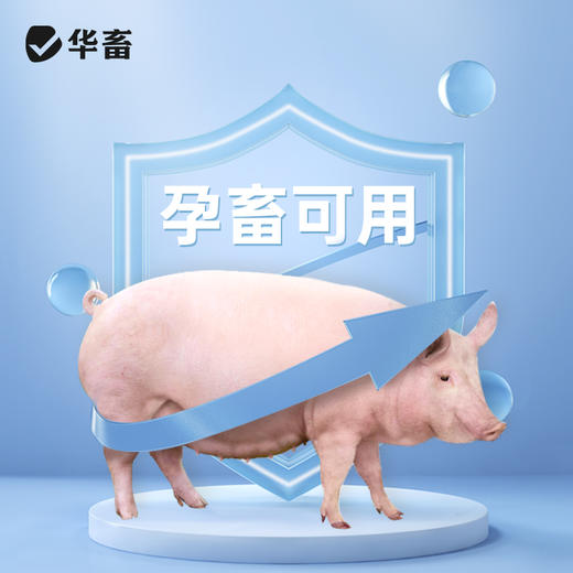 华畜多拉菌素注射液50ml 孕畜可用内外双驱 商品图3