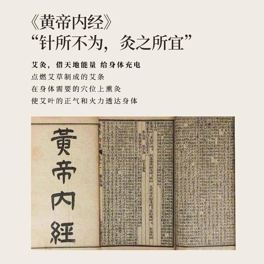 正安 艾火有力 温而不燥的温灸陈年艾条（8:1） 3.0cm*10cm*8支（升级版） 商品图3