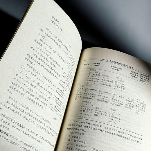 指向大概念的教学方式融合 基于多元表征变式的初中数学多能力任务合作学习 商品图10