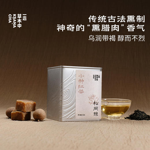松间照·正山小种 | 进阶原叶系列 | 50g原叶 | 红茶类 商品图0