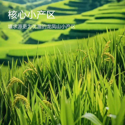 五常有机稻花香2号金奖大米(10斤真空包装) 商品图2