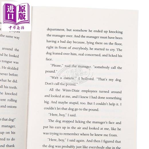 预售 【中商原版】经典儿童文学读物共10册 英文原版 畅销青少年小说 英语阅读 纽伯瑞夏洛的网 奇迹男孩 数星星 手斧男孩 魔法手指 商品图1