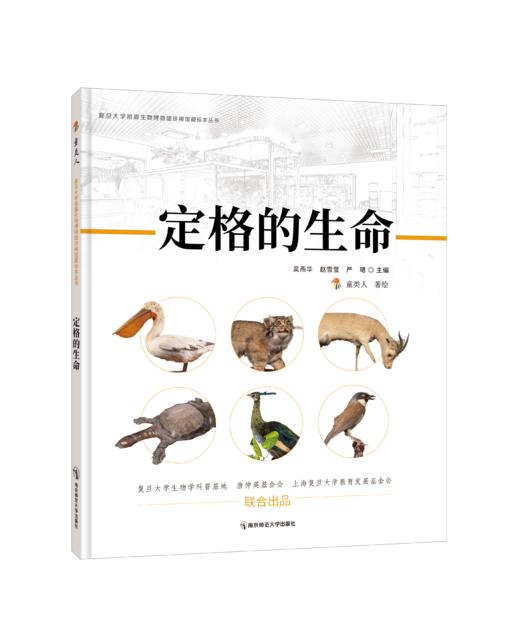 定格的生命  童类人  南京师范大学出版社  正版书籍 商品图0