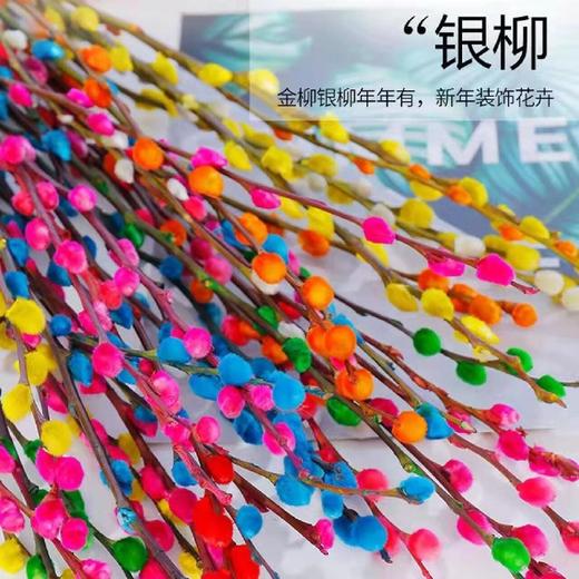 【贺岁银柳】AB级混色银柳20支+新年小挂件3张/份  不少于3个颜色  长约60-70cm 商品图5