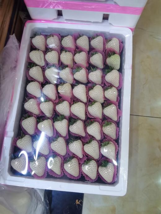 白雪公主 草莓【整板】 商品图0