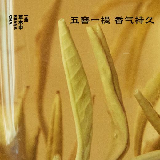 醉春风·茉莉银针 | 进阶原叶系列 | 50g原叶｜绿茶类 商品图1