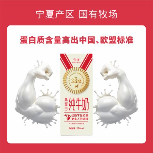 春节不打烊！宁优・3.8高蛋白纯牛奶【99元到手4箱】纯牛奶/牛奶/饮品/奶 商品图3