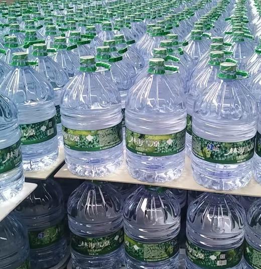 【一楼自提】半价促销15L/桶【泉阳泉出品】林海雪原一次性包装饮用水 商品图2