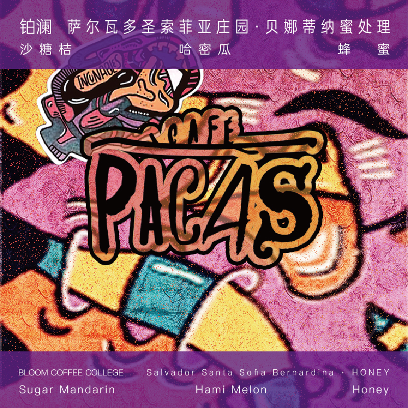 萨尔瓦多贝娜蒂纳蜜处理浅烘焙手冲咖啡豆