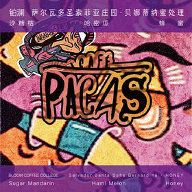 萨尔瓦多贝娜蒂纳蜜处理浅烘焙手冲咖啡豆