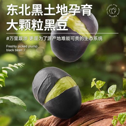 【粉丝专属❗️香酥盐炒黑豆】甄选绿心酥脆黑豆，颗粒饱满，蛋白质含量高，盐炒熟黑豆即食零食小包原味炒货L-d 商品图1