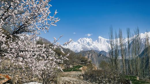 4.7确定出发【巴基斯坦】遇见秘境花开之美春摄12天<环球寻梦> 商品图9