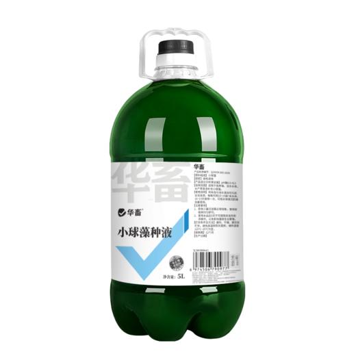 华畜小球藻种5L 快速肥水光合产氧 补充有益藻 商品图7