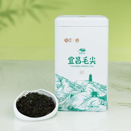 【宜茶甄选】宜昌毛尖浓香耐泡口粮茶罐装半斤250g 商品图3