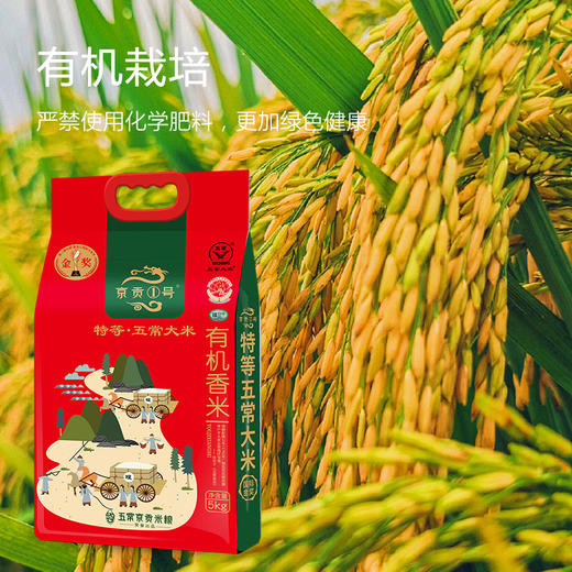 五常有机稻花香2号金奖大米(10斤真空包装) 商品图1