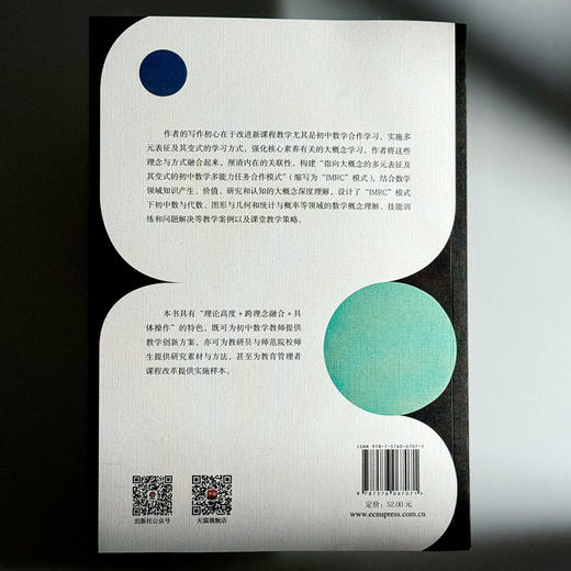 指向大概念的教学方式融合 基于多元表征变式的初中数学多能力任务合作学习 商品图2