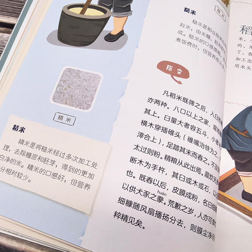 半小时读懂中国古代科学名著--天工开物 商品图10