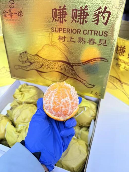 赚赚豹丑橘礼盒 商品图1