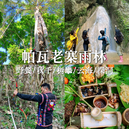 云南 | 版纳帕瓦老寨雨林徒步，距离市区1小时内车程轻松雨林徒步，超丰富一日探索：丛林水上秋千/树攀树降/动植物科普/哈尼族特色美食/割胶体验/化野人妆/看云海/探洞瀑布！五一端午路线提前预定！ 商品图0