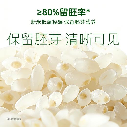 【颗粒饱满】草牧里 胚芽米 2.5kg/袋 新米低温轻碾保留胚芽营养** 商品图2