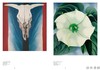 Artists Series: Georgia O'Keeffe / 艺术家系列：乔治亚·欧姬芙 商品缩略图3