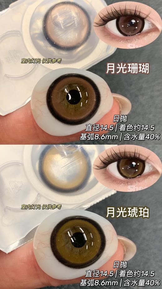 【大直径日抛】Sheepcon-月光珊瑚-月光琥珀-总直径14.5mm-着色14.5mm【日抛 0-1000度 不含525/575】 商品图0
