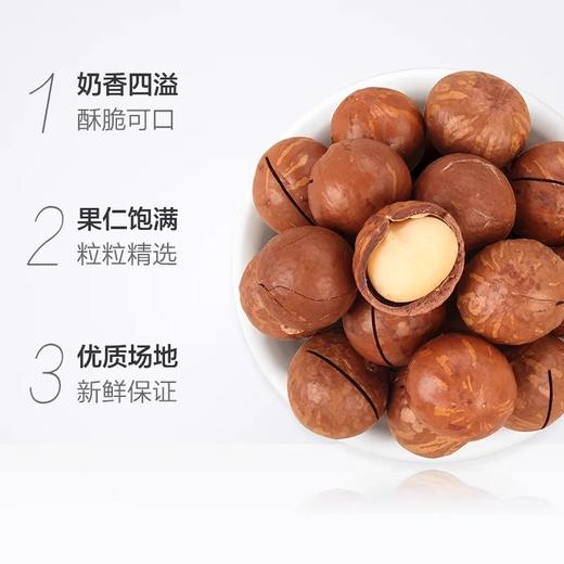 【粉丝专属❗️奶油味夏威夷果】颗颗人工甄选，低温循环烘烤工艺，保留坚果原香，无过多添加，丝丝奶香令人垂涎，大颗果仁显现，嫩脆有嚼劲L-d 商品图3