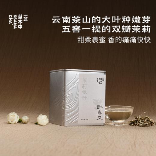 醉春风·茉莉银针 | 进阶原叶系列 | 50g原叶｜绿茶类 商品图0