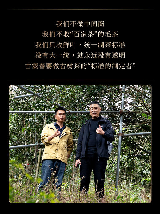 【2026年春茶预售】【铜箐河】2026年丙午马年生肖纪念饼重磅来袭！生肖茶饼界的无敌断货王，店铺必囤产品，选它准没错！以 “马踏青云” 为祥兆， 愿君新岁步步登高，万事顺遂357克/饼 商品图5