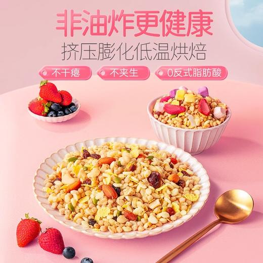 【粉丝专属❗️酸奶水果燕麦片】甄选品质原料制作，营养丰富健康早餐，多种谷物燕麦片，富含膳食纤维，早餐麦片奇亚籽坚果燕麦片糖中老年人L-d 商品图2