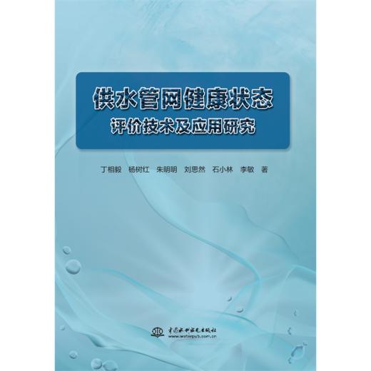 供水管网健康状态评价技术及应用研究 商品图0