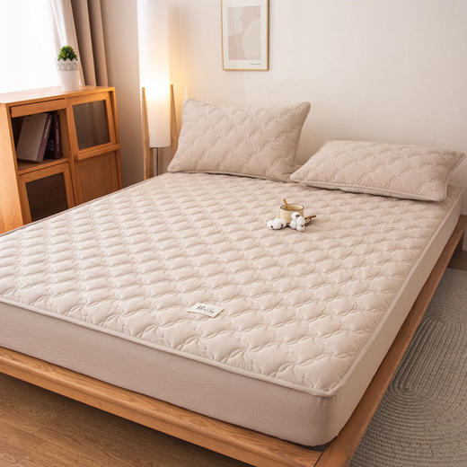 【全棉夹棉床笠】 A类全棉色织抗菌大豆夹棉床笠席梦思保护罩 360℃全方位呵护家人健康 商品图7