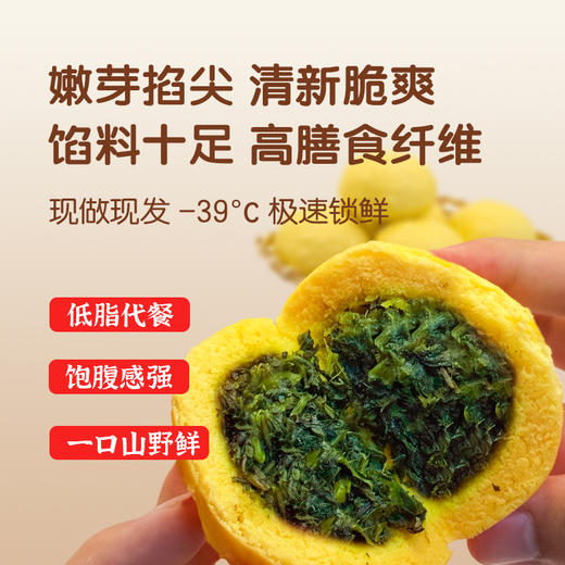 特别菜园黄金菜团子 蒲公英/槐花/荠菜三种口味 5斤鲜野菜才出1斤馅儿料 顺丰包邮到家 商品图2