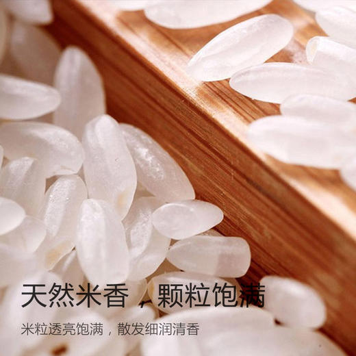 五常稻香米2号特等大米(10斤真空包装) 商品图5