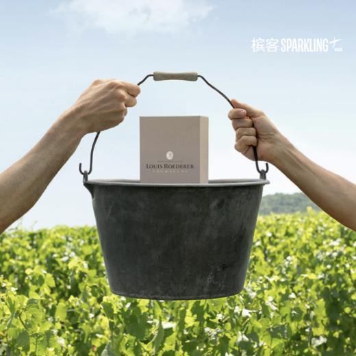 Louis Roederer Collection 246 路易王妃香槟 246 商品图6