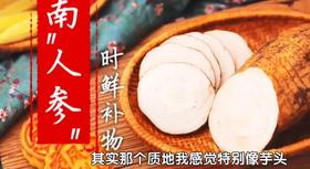 南方人参——血管清洁工